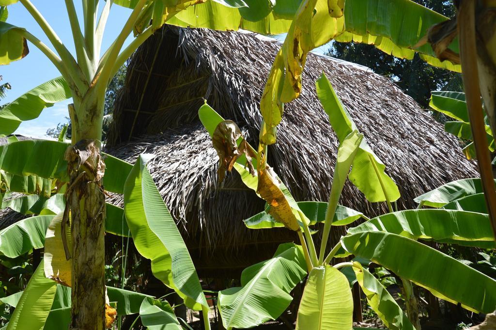 Samon Village Kampot Exterior photo